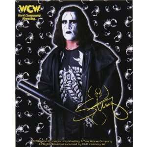 WCW   Sting Signature Pose Decal