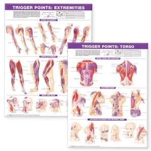 Trigger Point Chart Set: Torso and Extremities: Anatomical Chart 