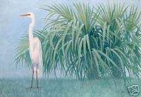Florida WHITE EGRET Tropical Bird Ltd/Ed Giclee Print **SALE**  
