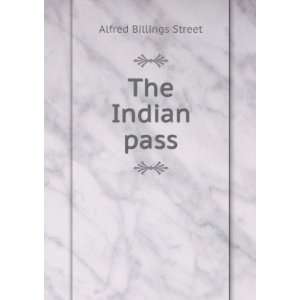  The Indian pass Alfred Billings Street Books
