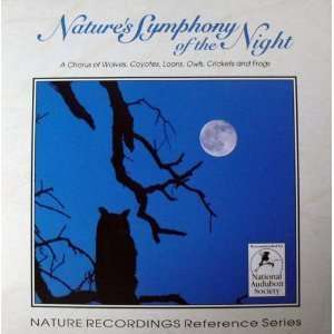  Natures Symphony of Night Nature Recordings Music