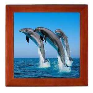  Keepsake Box Mahogany Dolphins Dancing: Everything Else