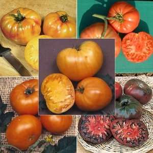  Tomato Heirloom Collection (40 Seeds) Patio, Lawn 