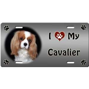  I Love My Cavalier King Charles Spaniel License Plate 
