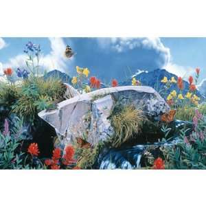  Rod Frederick Safe Haven   Summer Song Jigsaw Puzzle 