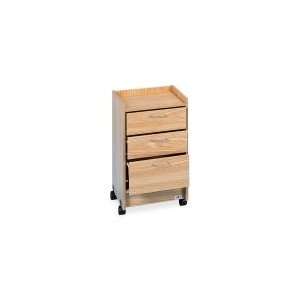  Hausmann Mobile File Cart: Office Products