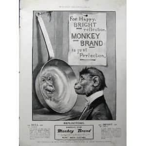   1900 Advertisement BrookeS Monkey Brand Soap Washing
