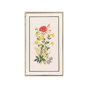  Field Flowers Counted Cross Stitch Kit: Arts, Crafts 