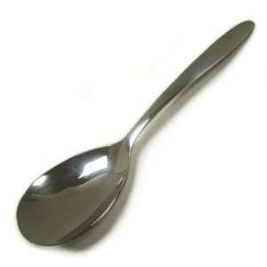  Stainless Steel Serving Spoon   9 Inch