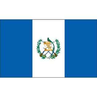 Americas Flag Company 3 Foot by 5 Foot Nylon Guatemala Flag at  