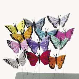  Feather Butterflies   Adult Crafts & Craft Embellishments 