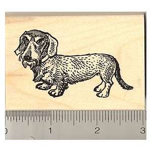  Wire Haired Dachshund Dog Rubber Stamp   Wood Mounted 