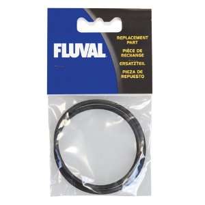  Seal Ring For Fluval 203 Patio, Lawn & Garden