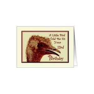  Birthday / 73rd / Ostrich /Humorous Card Toys & Games