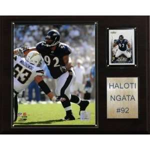  Baltimore Ravens Haloti Ngata 12x15 Player Plaque 