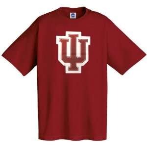 Indiana Hoosiers Logo Tech T Shirt:  Sports & Outdoors