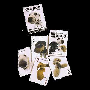 The Dog Playing Cards 54 Dog Breeds for 54 Cards  