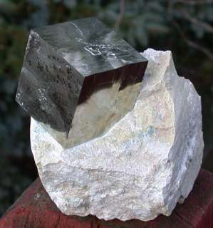 SiS: PERFECT Pyrite Cube on natural matrix   GIGANTIC!!  