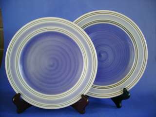  RIO PATTERN WHITE WITH CONCENTRIC BLUE BANDS PFALTZGRAFF CHINA  