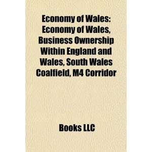 Economy of Wales Halliburton  Bücher