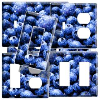 BLUEBERRY KITCHEN DECOR LIGHT SWITCH OUTLET COVER PLATE  
