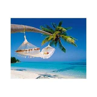 Poster 50x40 Karibik Hängematte Strand Meer Palmen Urlaub Sommer Foto 
