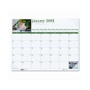  191 Kittens Monthly Desk Pad Calendar for 2009, Nonrefillable, 22 X 17