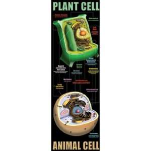  Quality value Plant And Animal Cells By Mcdonald 
