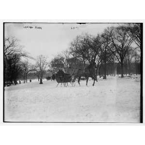 Photo Horse drawn sleigh in Central Park, New York City 1900  