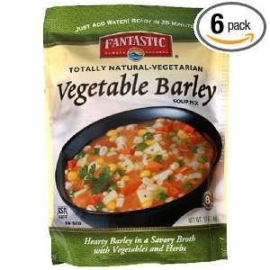 Fantastic Foods Vegetable Barley Soup Mix, 9.9 Ounces (Pack of 6 