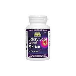 Celery Seed Extract   Support for Good Health & Healthy Circulatory 