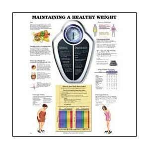  Maintaining a Healthy Weight Anatomical Chart 20 X 26 