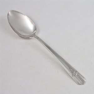  Everlasting by William A. Rogers, Silverplate Tablespoon 