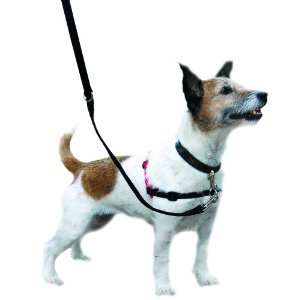 Halti Dog Harness   Multi Functional   No Pull Plus Regular Harness 