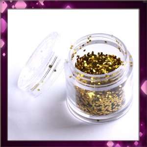 LY Golden Colour Nail Art Sparkling Glitter Powder Dust Tips Salon Set 