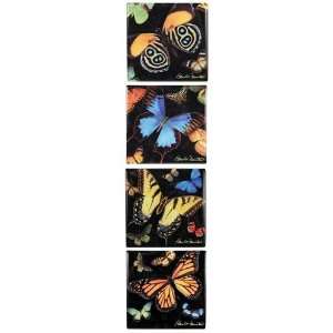  Multi Flower Large Magnets 4 Styles Case Pack 8 