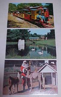 Santas Land Putney Vermont 3 Postcards Train Enchanted Forest and 