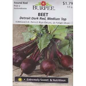 Burpee Detroit Red Medium Top Beet Seeds   5.5 grams 