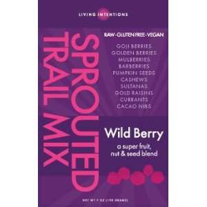  Living Intentions Sprouted Trail Mix, Wild Berry, 6 PAK 