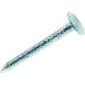   3Gs 1HGRFG 50 lb. Hot Dipped Galvanized Roofing Nail