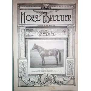  American Horse Breeder Vol. XL No. 21 May 24, 1922 