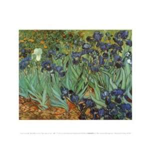  Irises in the Garden, Saint Remy, c.1889   Poster by 